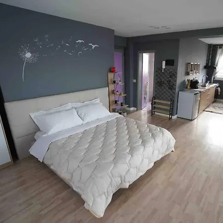 30°bs Rooftop Appartement *